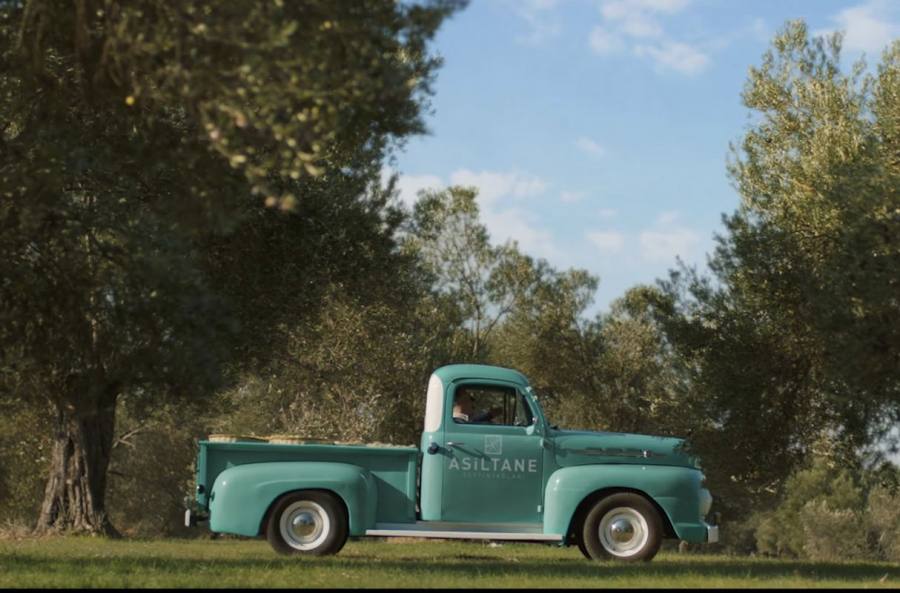 Asiltane Zeytin Yağı