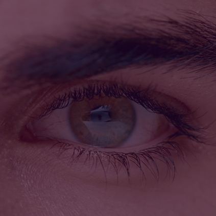 ULTIMATE / NUTRITION